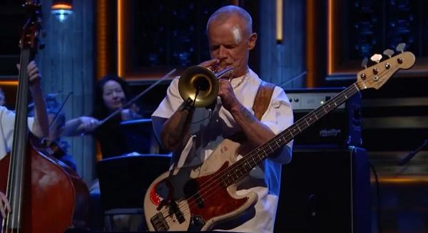 Flea első szólóalbumával kilépett a komfortzónából: 'Honora' lemezkritika