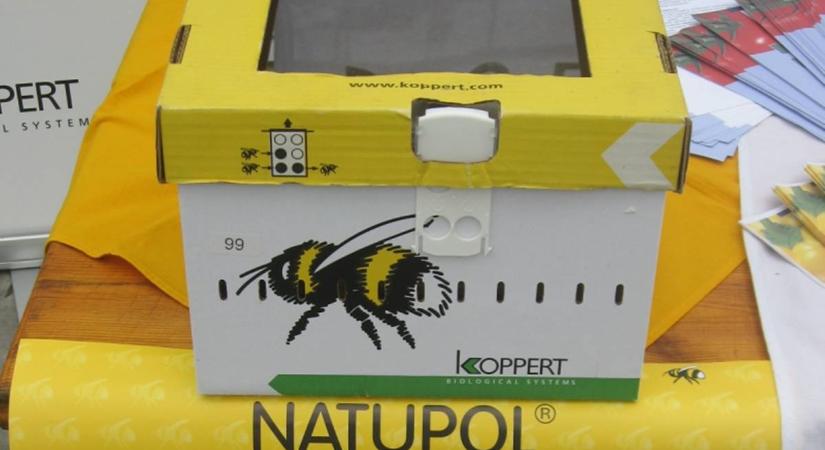 Poszméhek alkalmazása a hajtatásban