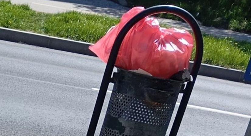 Felháborító dolgok történnek – zacskós háztartási szemét a közterületen?