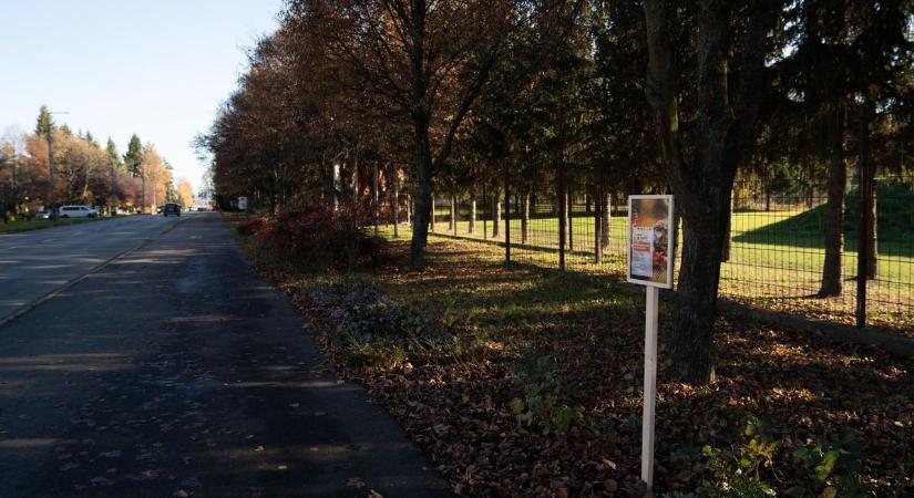 Szigorú állatvédelmi intézkedések léptek életbe, erre figyeljünk!