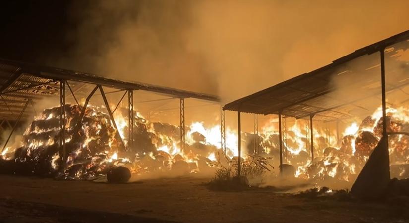 Lángokban a határ: futnak a gazdák a pénzük után