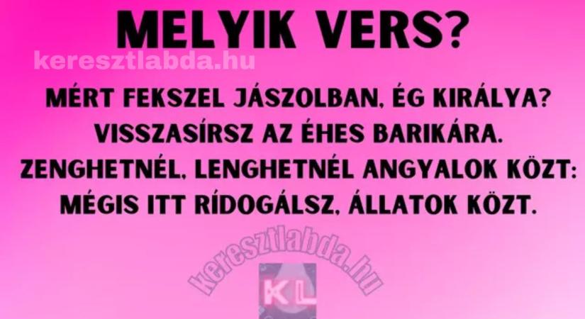 Napi irodalom feladat: Ezt a karácsonyi verset alig ismerik fel – te tudod, ki írta?