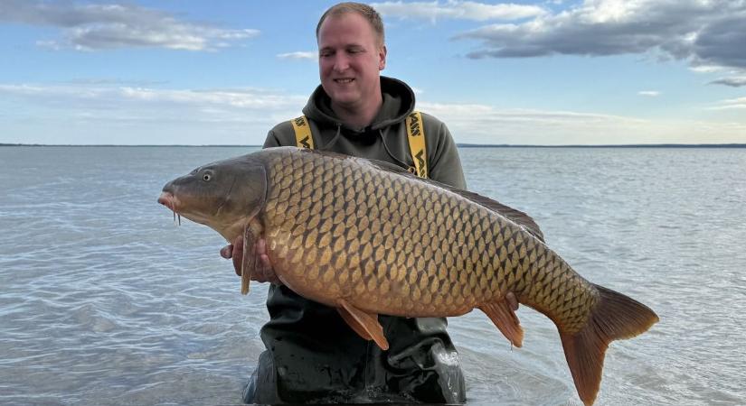 Hatalmas fogás a Balatonon, brutális ponty akadt horogra