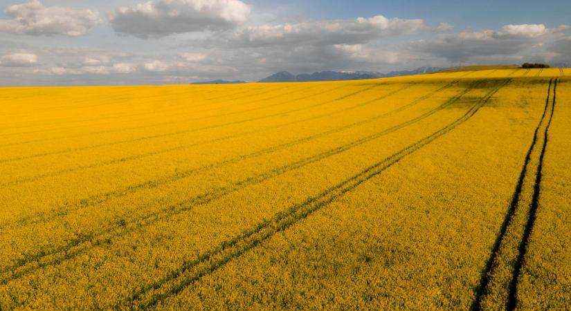 Új fotózási kötelezettséggel, április 15-én indul a kérelembeadási időszak