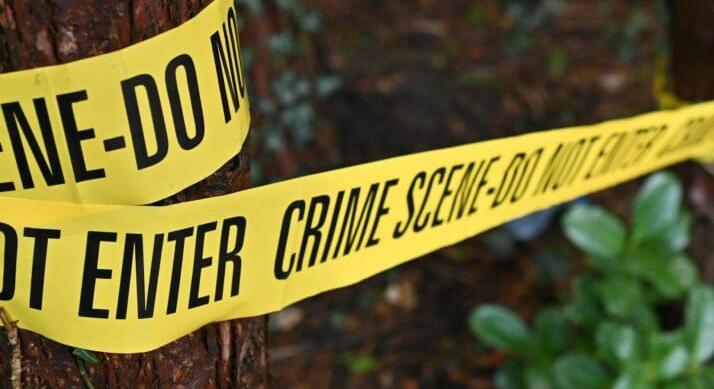 Rakodás közben csapott le a NAV – Több mint 2 milliárd forint értékű árut foglaltak le