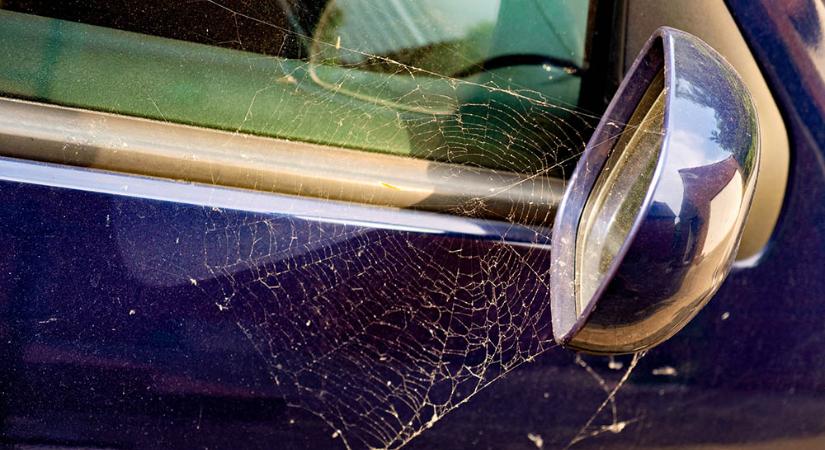 Rémálom a volánnál: pók miatt borult az autós