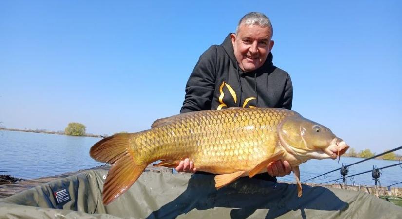 Nem tudjuk eldönteni, hogy ez a ponty most kilós vagy karátos? Ismét kifogták a csodahalat a Látóképen