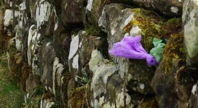 Kutyapiszkot rejtenek a Hadrianus-fal réseibe a turisták