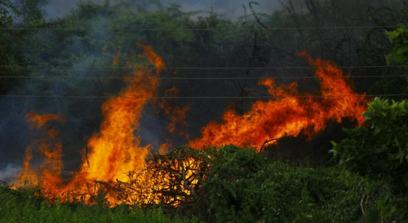 Tűzszimulátort fejlesztett a Soproni Egyetem