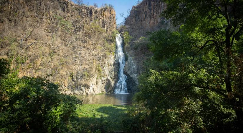 Ilyet még nem látott! Halak másznak fel egy vízesésen – videón a csoda