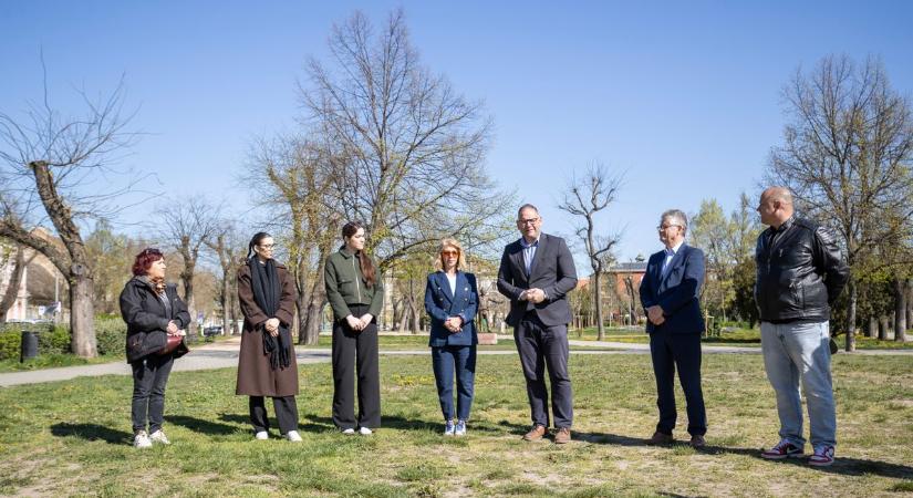 Rekordszámú nevező a fehérvári félmaratonon