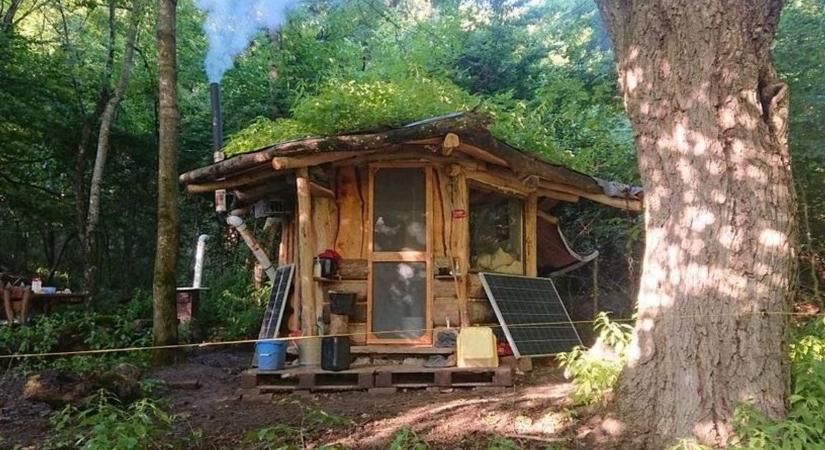 Albérlet helyett választotta az erdőt Gerzson, kunyhót épített magának a Bakonyban (videó)
