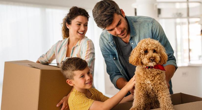 Túl a 3 százalékos hitelen: ezekkel a támogatásokkal is élhetnek a lakásvásárlók