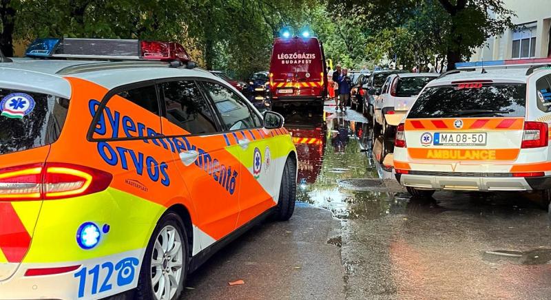 Meg akarta fojtani unokája orvosát a pécsi nagymama