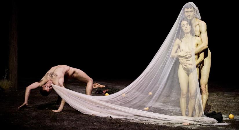 Anyák, fények, árnyékok