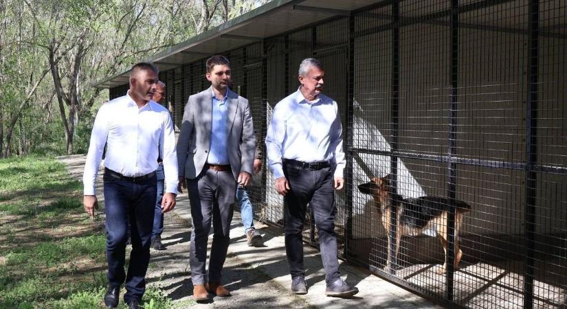 Ebben a városban nem sajnálják a pénzt a kiebrudalt kutyáktól – ennyit költöttek rájuk