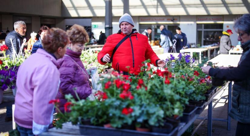 Ünnepek után sem lett olcsóbb a szekszárdi piac, mutatjuk, mit mennyiért adtak (galéria)