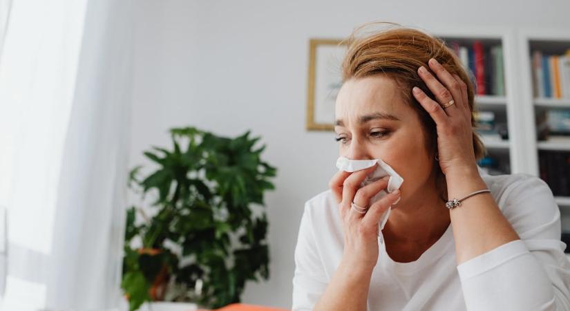 Úgy érzi, hogy rosszabb az allergiája? Ez lehet az oka