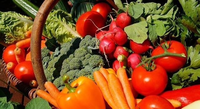 Romlott a magyar agrár-külkereskedelem egyenlege 2025-ben: csökkent az exportérték, nőtt az import