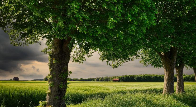 Energiaválság tombol a világban, az EU vámpolitikája pedig csak ront a gazdák helyzetén