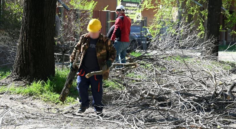 A biztonság érdekében lezártak egy szolnoki útszakaszt – galériával, videóval