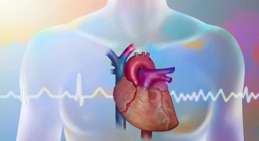 Nem kell műtét? Egyetlen injekció segítheti a szív gyógyulását