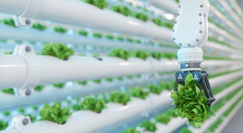 Kiderült az igazság a csúcstechnológiáról: hatalmas buktatókat rejtenek a drága gépek, megszólalt a szakember