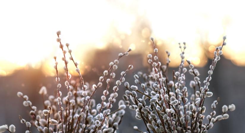 Szegedi időjárás holnap – vajon sütni fog a nap?