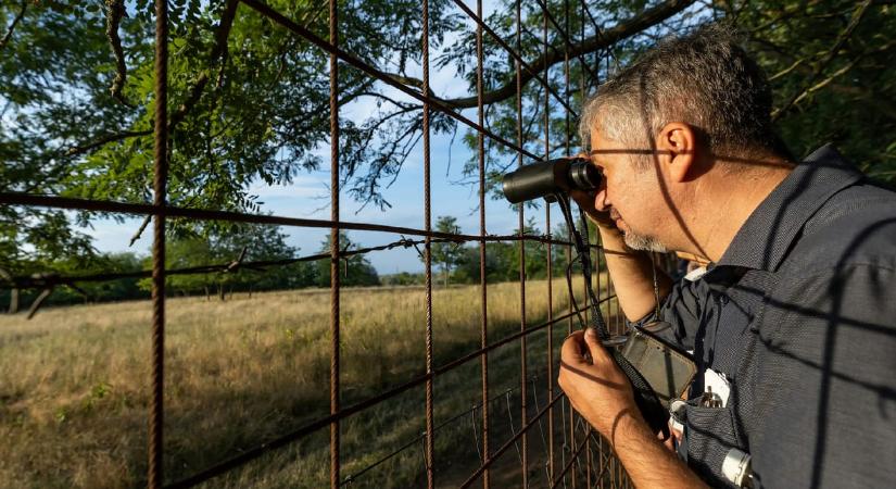 A Kúria Hadházynak adott igazat: ki kell adni a 16 milliárdos, elfuserált ingatlannyilvántartó-rendszer adatait