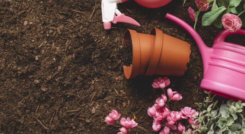 Filléres trükk a drága virágföld helyett, ezt használják egyre többen