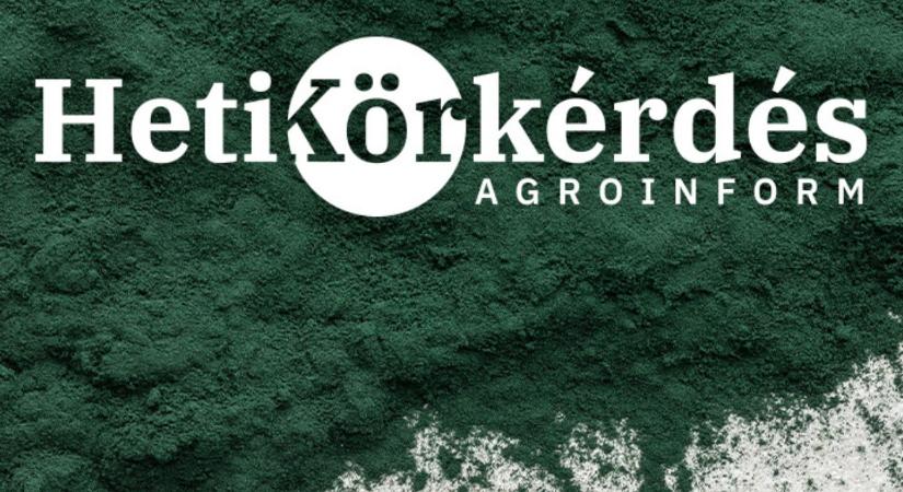 Az algaalapú készítmények esszenciája – Heti Körkérdés