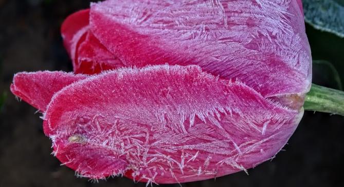 Még csak most jön a mélypont