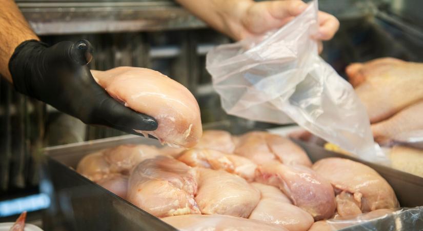 Dörzsölheted a tenyered, ha pulykát tartasz