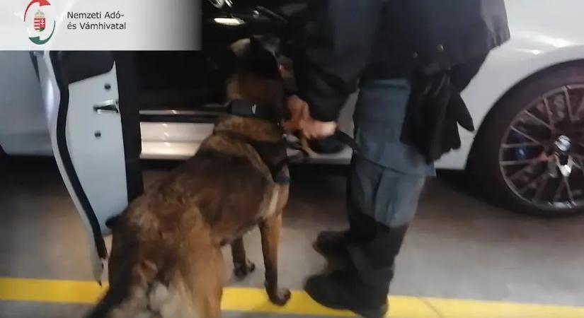 Trükkös csalás: 1 milliárdot bliccelt el a sztrádán, céghálózattal játszotta ki a rendszert