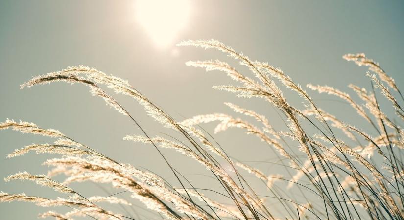 Változékony idő jön: felhők, záporok és erős szél is érkezik