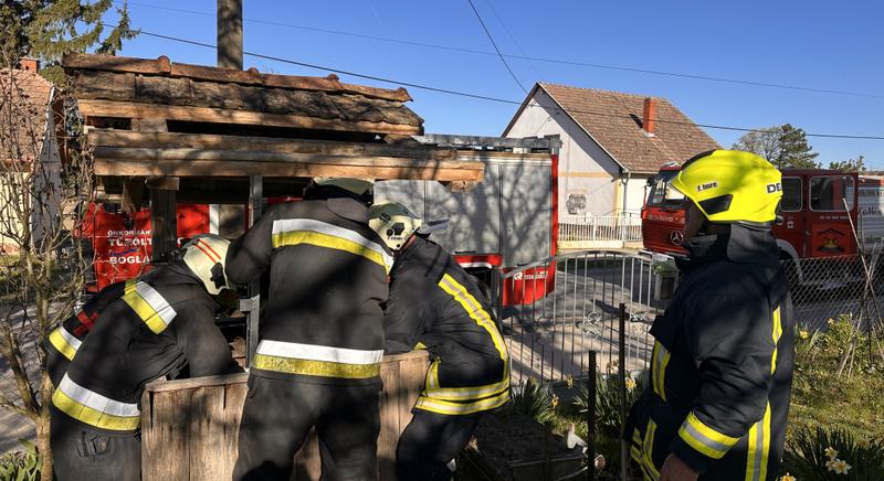 Kútba esett macskát mentettek a tűzoltók