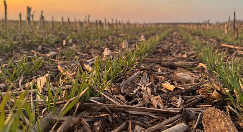 Talajstratégiák VI. – Lebontási problémák – amikor a talaj nem dolgozik