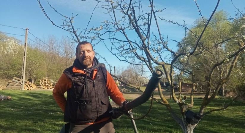 Katasztrófa fenyegeti a kerteket – ha ezt az egy dolgot nem teszi meg, idén nem lesz barack