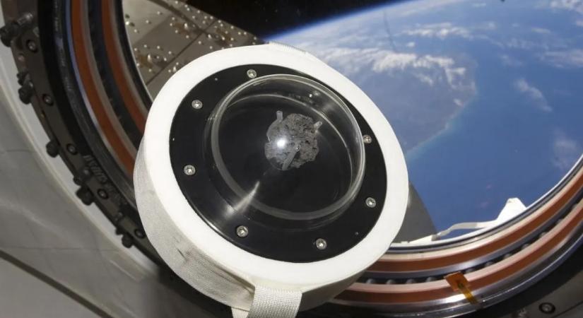 Szinte hihetetlen, de a Holdon szexelt egy szerelmespár