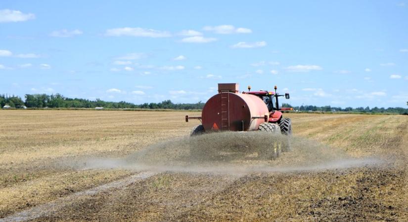 Van elég műtrágya, de egyre többe kerül