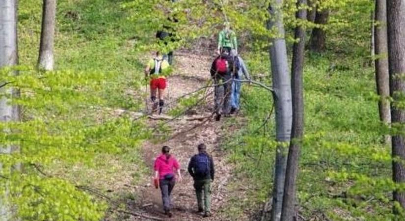Mátrabérc: évtizedes hagyomány és embert próbáló szintek