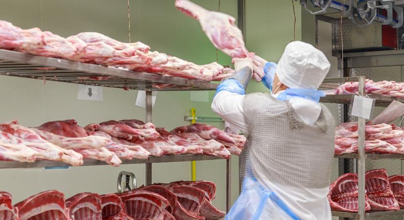 30 százalékos drágulás egy év alatt: egekben bizonyos vágóállatok ára