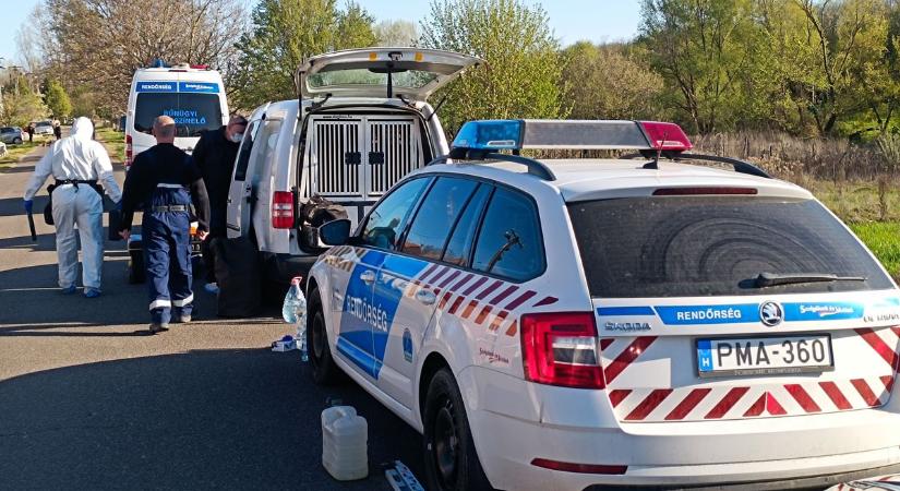 Rendőrök lepték el Császártöltést – egy eltűnt férfi után nyomoznak  fotók, videó