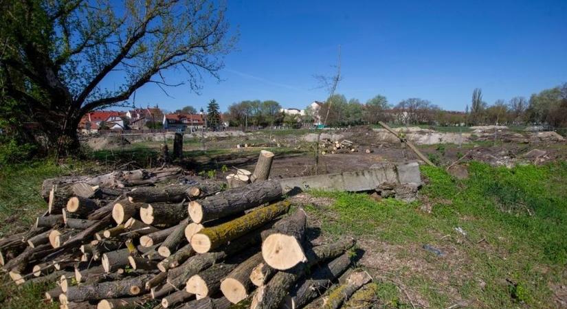 Újabb lépés a lakópark felé: kivágták a fákat a régi KTE pályán