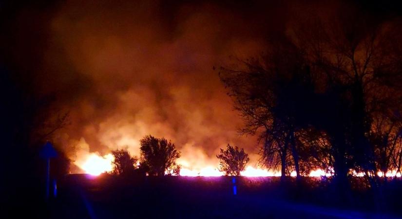 Hatalmas nádastűz pusztított a 33-as főút közelében