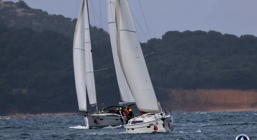 Ez nem lehet igaz! Láttatok már Neverát?