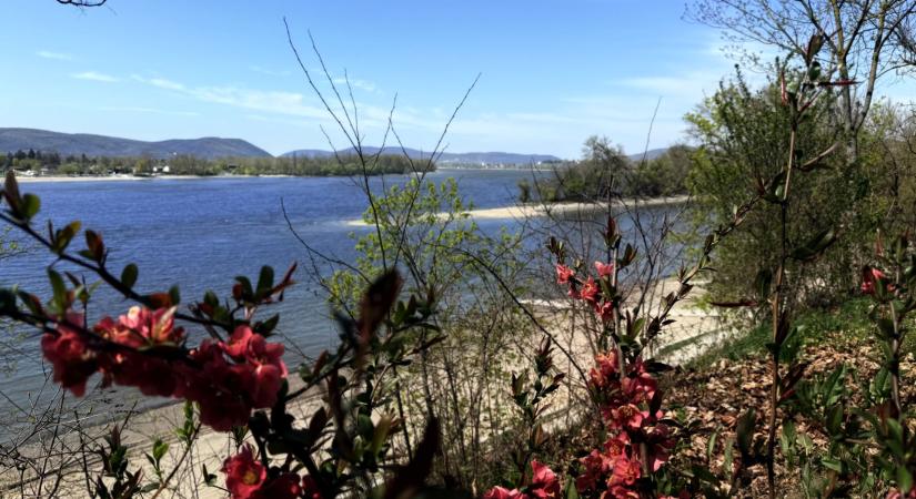 Zebegény a Dunakanyar kihagyhatatlan ékessége