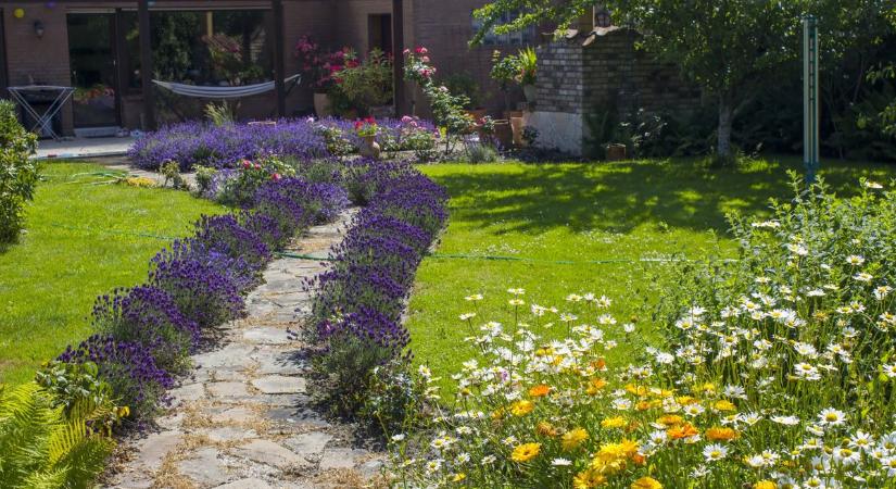 Sokan tartanak tőlük, pedig teljesen ártalmatlanok: megjelentek a kertekben a tavasz hírnökei