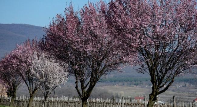 Megérkezett a csütörtöki időjárás-előrejelzés: erős lehűlés jön