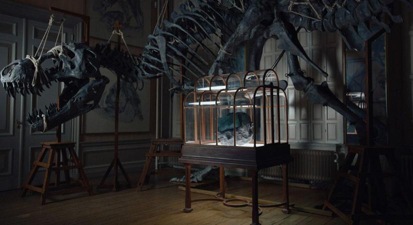 Krokodilbőr? Ugyan már! T-rex bőréből készült ez a táska